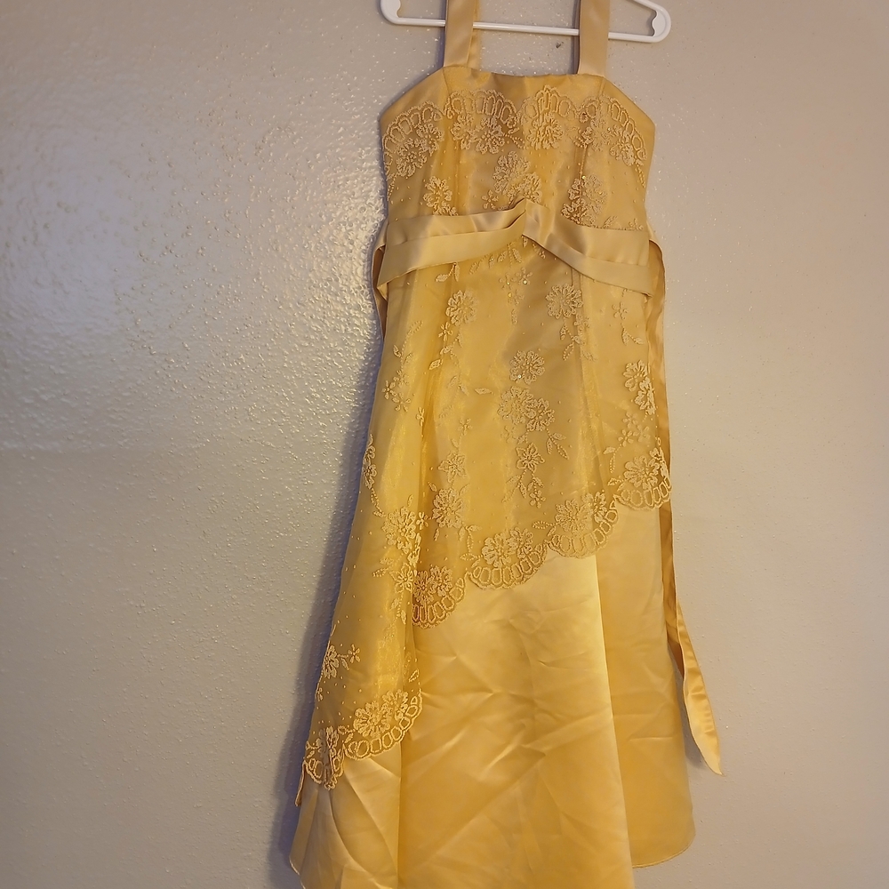 Charming Gold Lace Kids Dress